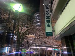 -矢场猪(名古屋站名铁店)