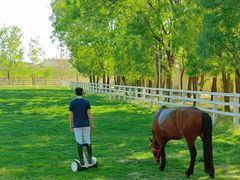 -北京群众马术培训基地