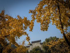 -赭山公园