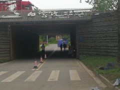 -白鹭湾湿地公园