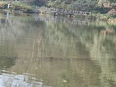 -杭州植物园
