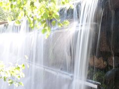 -汤旺河林海奇石景区