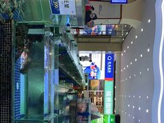 -欢乐海岸美食联盟