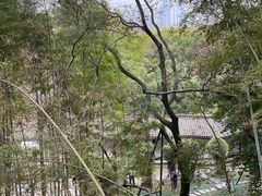 -岳麓山风景名胜区