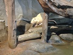 -苏州海洋馆