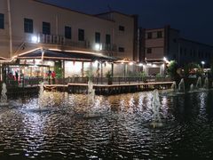 -一煲鸽