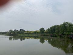 -东郊湿地公园