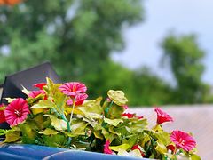 -Sirena海妖日咖夜酒