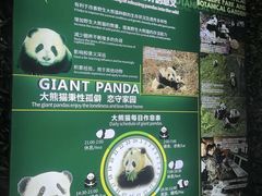 -海南热带野生动植物园