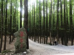 -山王坪喀斯特国家生态公园