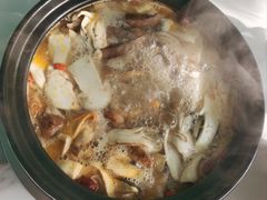 -蘑统田下·野生菌火锅