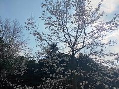 -江南大学(蠡湖校区)