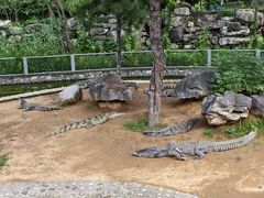 -石家庄市动物园