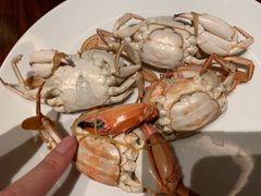 -嘉定凯悦·咖啡厅