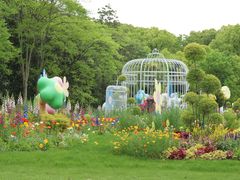 -上海共青森林公园