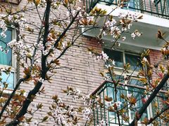 -Hei Cafe(工体店)
