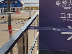 -吴淞口国际邮轮码头-停车场