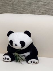 -深圳鹏爱秀琪医疗美容医院