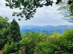 -莫干山风景区