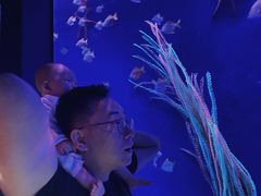 -沈阳海洋探索中心