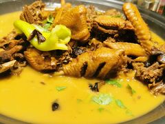 小鸡炖榛蘑-关东大厨老三熏鹅(新石店)