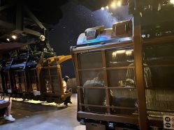 -翱翔飞越地平线