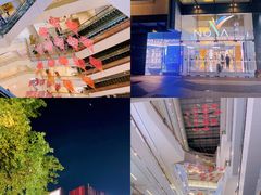 -岭南站NOVA