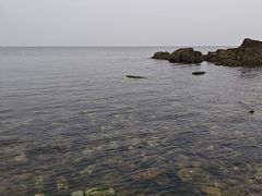 -养马岛旅游度假区