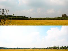 -嘉北郊野公园