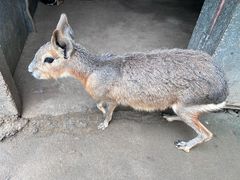 -合肥滨湖国家森林公园
