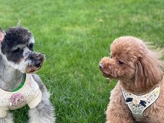 -佳雯宠物医院(四明中路分院)