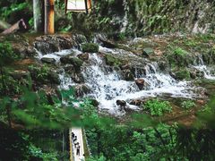 -川西竹海景区