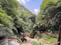 -秦岭风景区