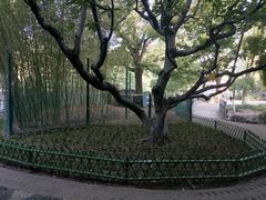 -宣武艺园