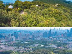 -紫金山天文台