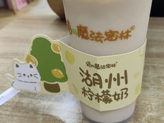 -猫的魔法密林(衣裳街店)