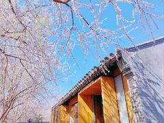 -三里河公园