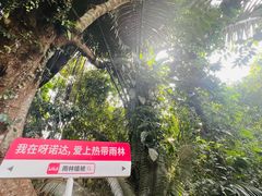 -呀诺达热带雨林