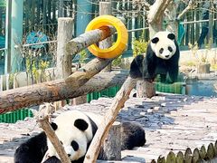 -大连森林动物园