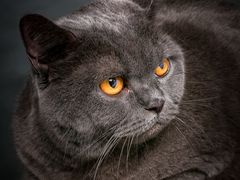 -方快-照相馆(中原大润发店)