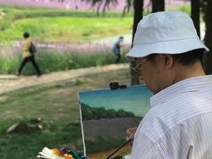 -大塘金香草谷