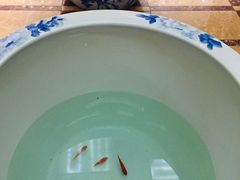 -永远爱烤肉火锅自助(龙德广场店)