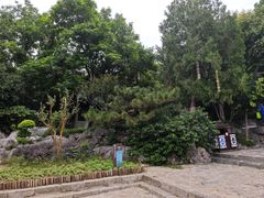 -云龙山