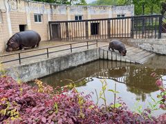 -合肥野生动物园