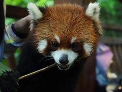 -普洱太阳河森林公园