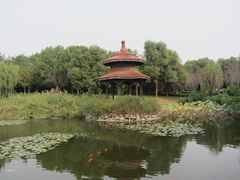 -天目湖山水园