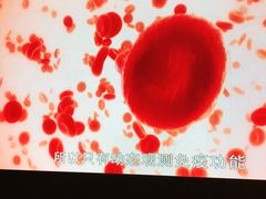 -北京丽亭华苑酒店