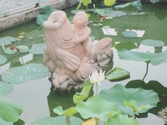 -丰台花园