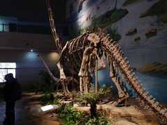 -自贡恐龙博物馆