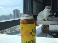 -奈雪的茶(苏宁广场店)